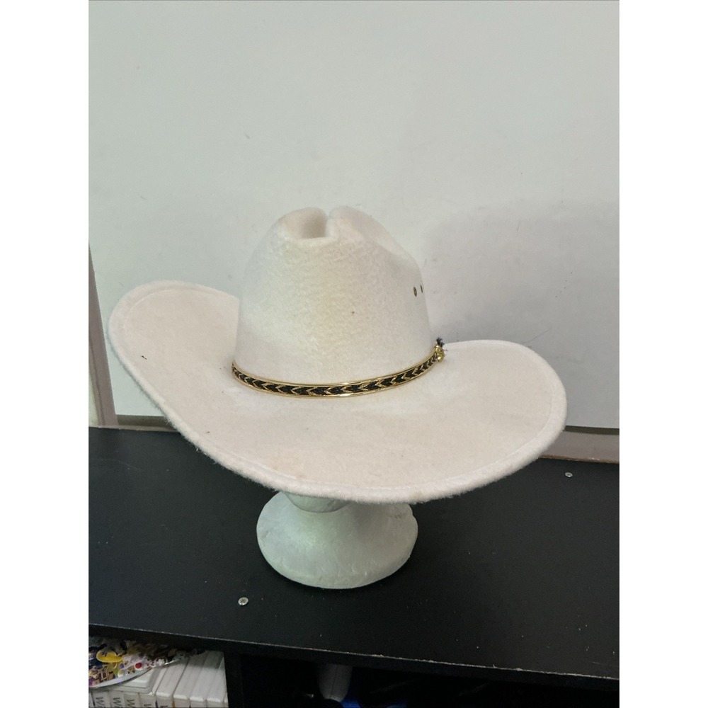 Autographed Felt Cowboy Hat Western Express Made in Mexico- Size 6 7/8 (55)